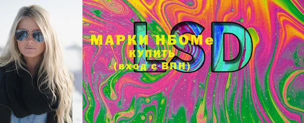 мет Алексин
