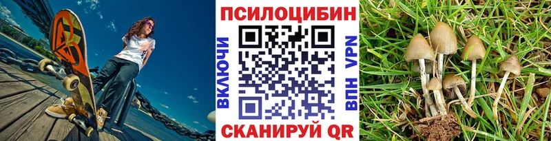 Галлюциногенные грибы ЛСД  МЕГА сайт  Мичуринск 