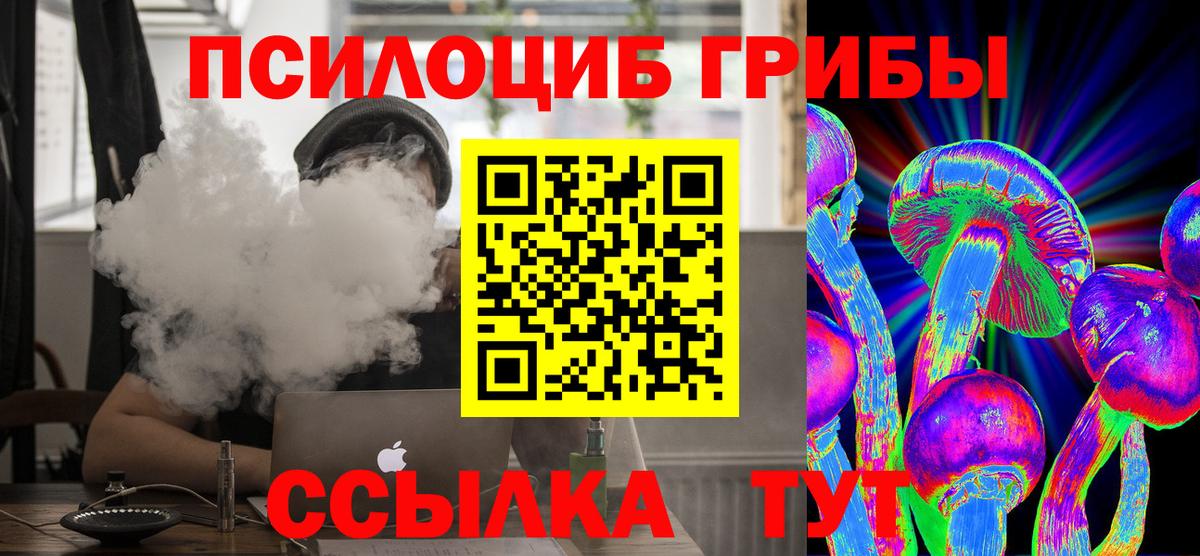 что такое наркотик  Вход с VPN  Мичуринск  Псилоцибиновые грибы Magic Shrooms  Галлюциногенные грибы прущие грибы 